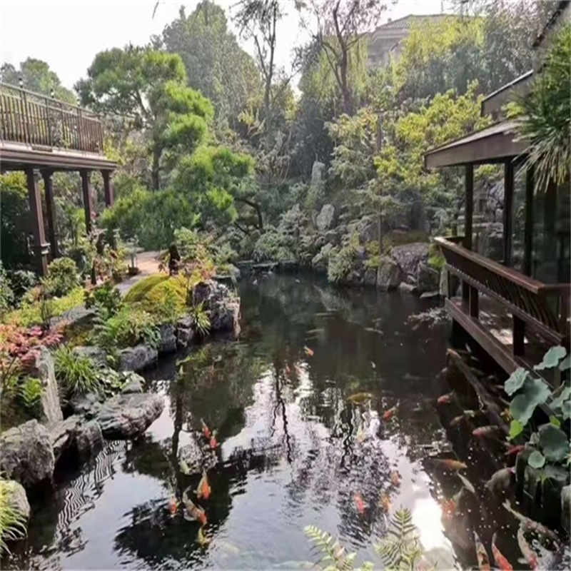 岳阳假山植物小鱼池